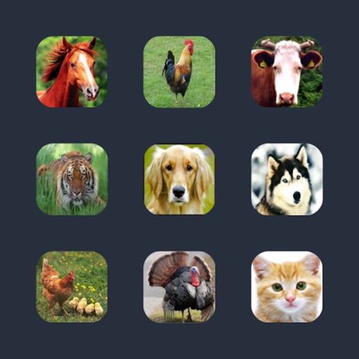 Best Animal Sounds Icon