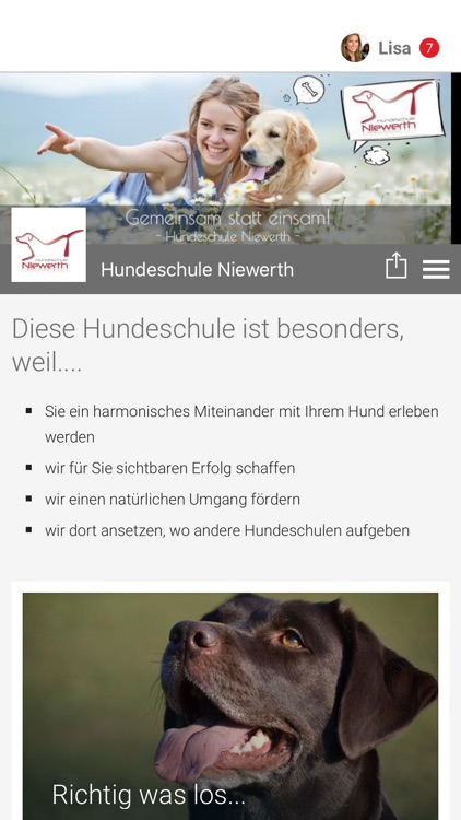 Hundeschule Niewerth
