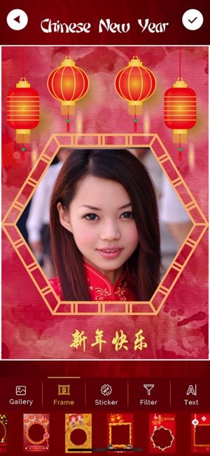 Chinese New Year - 中国新年