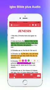 Igbo Bible screenshot