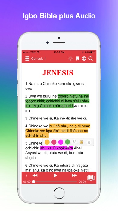 Igbo Bibleのおすすめ画像1