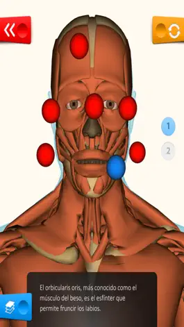 Game screenshot Educa Explorer Cuerpo Humano. hack