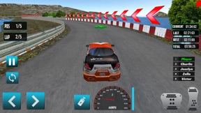 Mexico Rally Racing screenshot