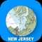 Online Raster Charts for Navigation