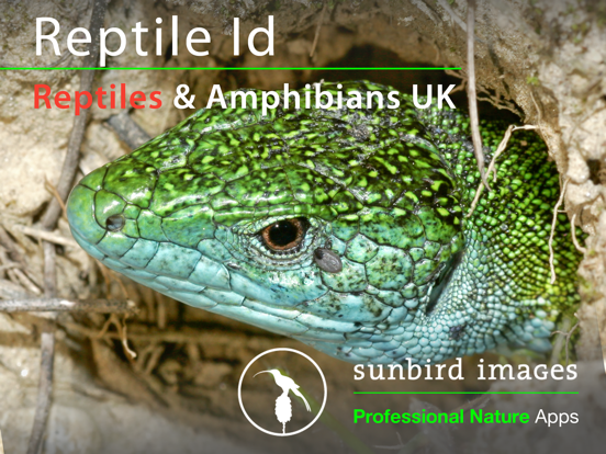 Screenshot #4 pour Reptile Id - UK Field Guide