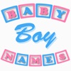 Baby Boy Names LITE - iPadアプリ