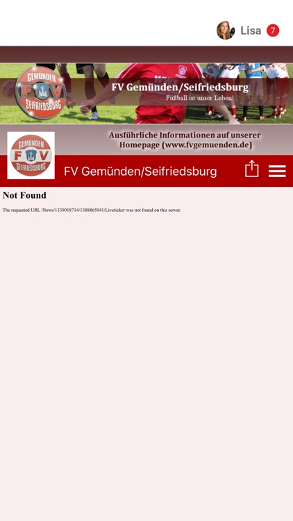 FV Gemünden/Seifriedsburg