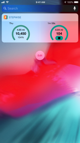 Stepwise Pedometer screenshot
