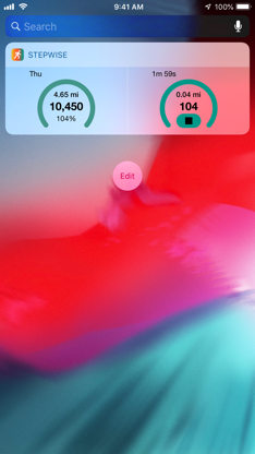 Stepwise Pedometer screenshot 4