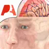 Pocket Brain contact information