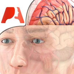 Ícone do app Pocket Brain – Neuroanatomia Interativa