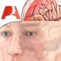 Pocket Brain app download