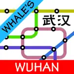 Wuhan Metro Map App Problems