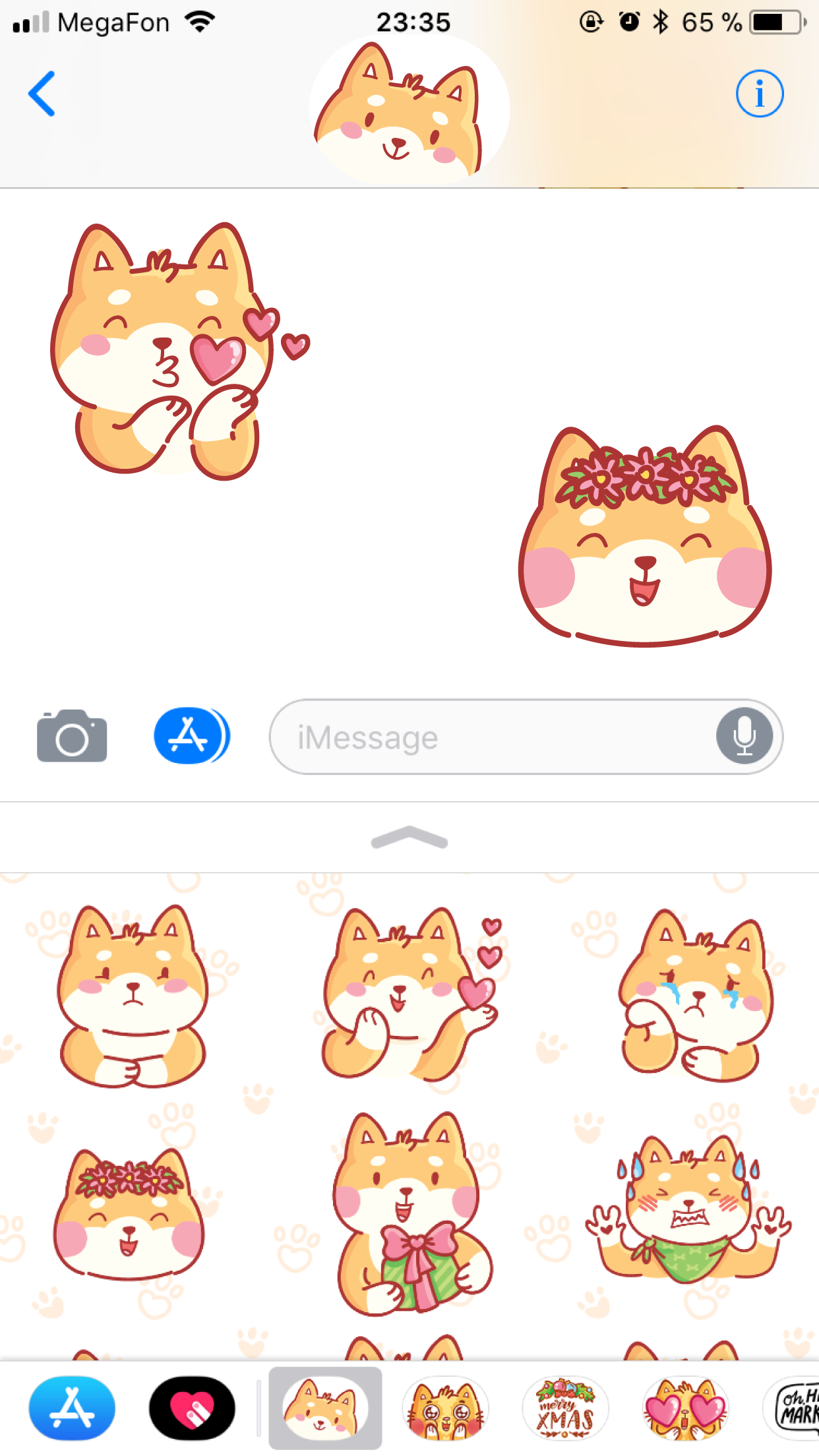 Shiba Inu!