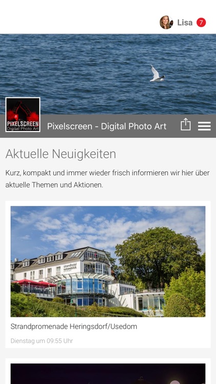 Pixelscreen - Photo Art