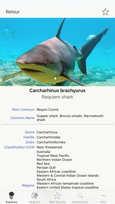 Screenshot #2 pour Sharks & Rays, by Reef Life