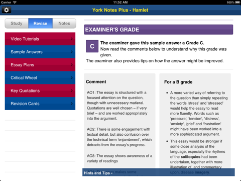 Hamlet York Notes AS A2 iPad screenshot 4
