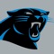 This is the official mobile app of the Carolina Panthers