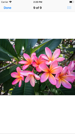 Plumeria Sticker Pack(圖7)-速報App