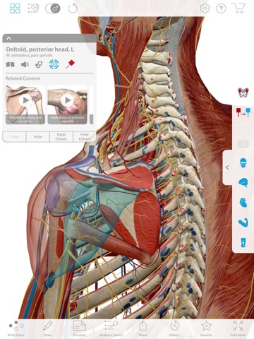 Muscle Premium Subscriptionのおすすめ画像2