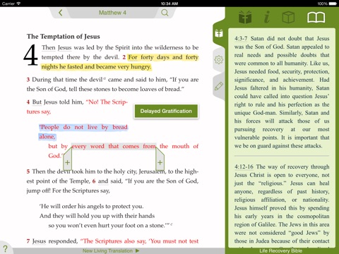 Life Recovery Bible screenshot 4