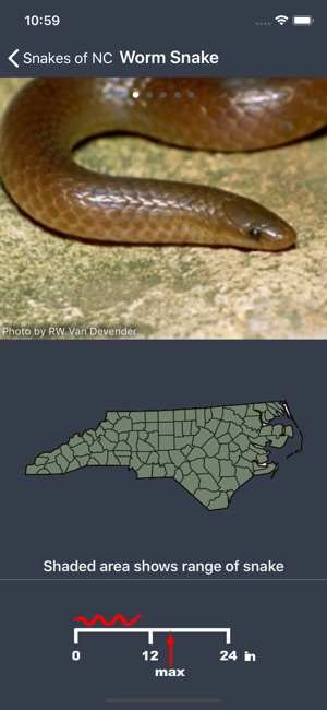 Snakes of North Carolina(圖3)-速報App