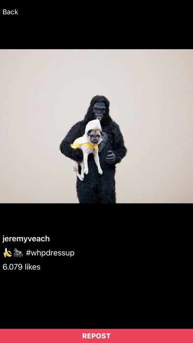 Screenshot #2 pour Repostly InSaver Story Repost