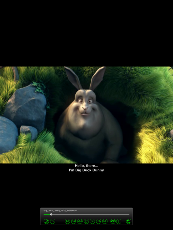 Screenshot #5 pour Subtitles Player