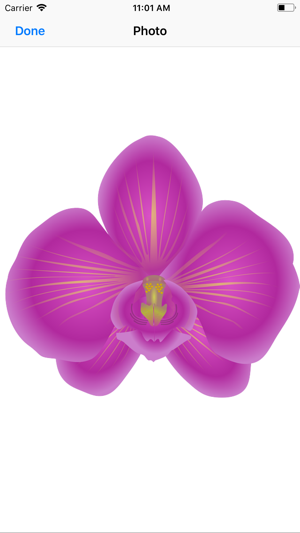 Orchid Stickers(圖3)-速報App