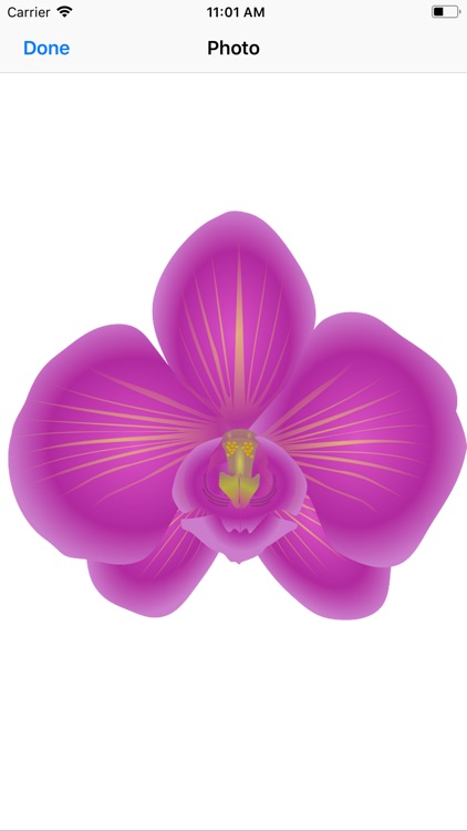 Orchid Stickers