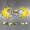 Dolphin Top4