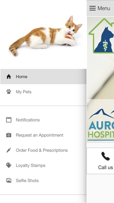 Aurora Cat Hospital screenshot 2