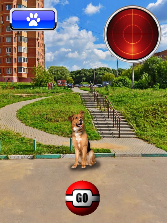 Screenshot #5 pour Pocket Dogs GO AR
