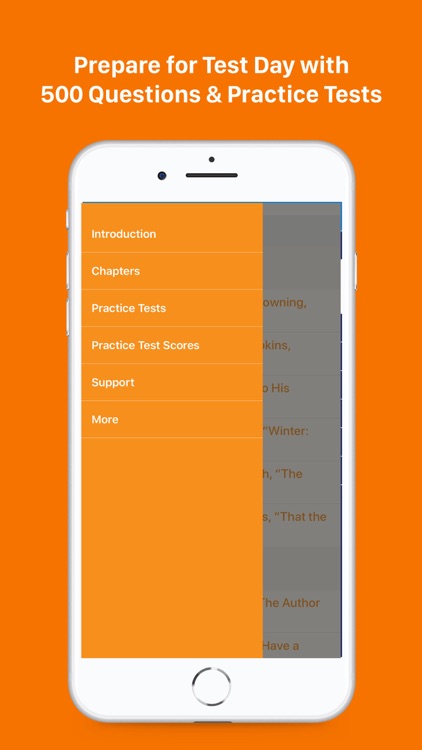 AP English Literature Prep