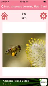 Japanese Learning Flash Card screenshot #4 for iPhone
