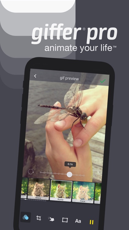 Giffer Pro Animated GIF Maker