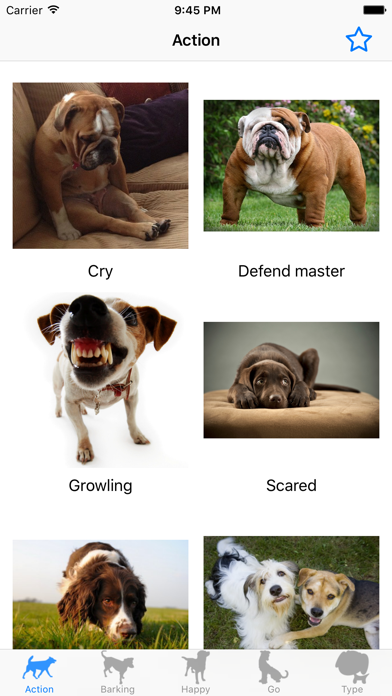 Screenshot #3 pour Son chien - Amoureux des chien