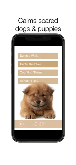 Game screenshot Dog Dreams relax with your dog hack