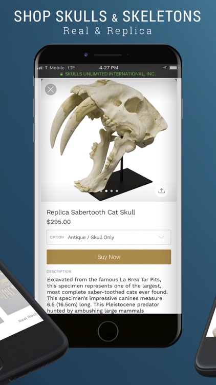 Skulls Unlimited