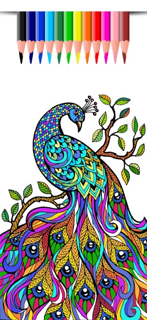 Girly Coloring Book: Draw Arts