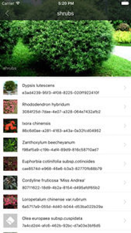 sPlant智慧园林系统