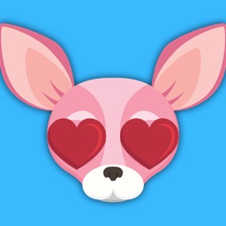 Animated Pink Chihuahua