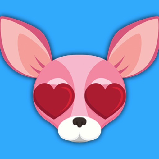 Animated Pink Chihuahua