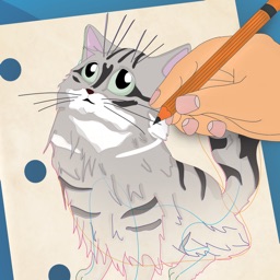 Comment dessiner les chats