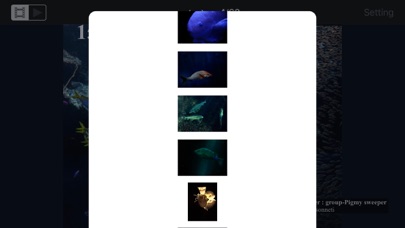 Fish in Aquamarine-FUKUSHIMA iPhone screenshot 5 - Photo & Video app