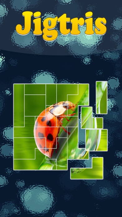 Jigtris Puzzle Screenshot