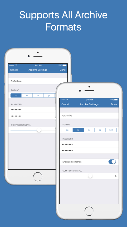 #5. File Manager - Network Explorer (iOS) بواسطة: LTD DevelSoftware