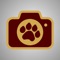 Instantly add Dripping Springs Tiger filters to photos and videos FREE