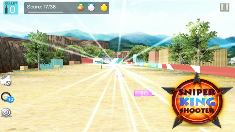 Sniper King Shooter screenshot-5