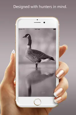 Game screenshot Goose Hunting Calls - Goose Sounds mod apk